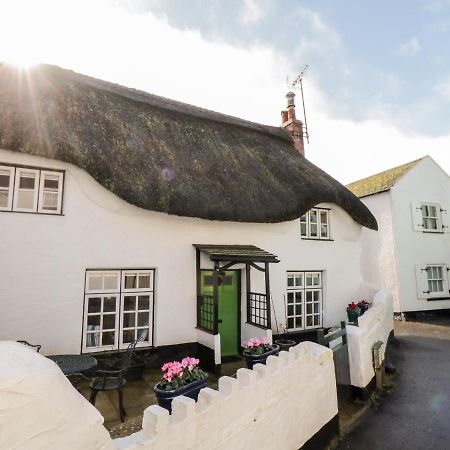 Teign Cottage Тинмут Екстериор снимка